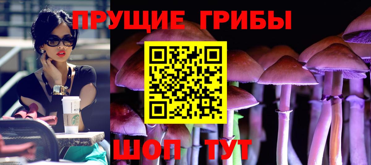 Горно-Алтайск  Галлюциногенные грибы Psilocybine cubensis  Вход с VPN  Галлюциногенные грибы Magic Shrooms 